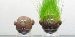 Grass head creatures @ Naragebup